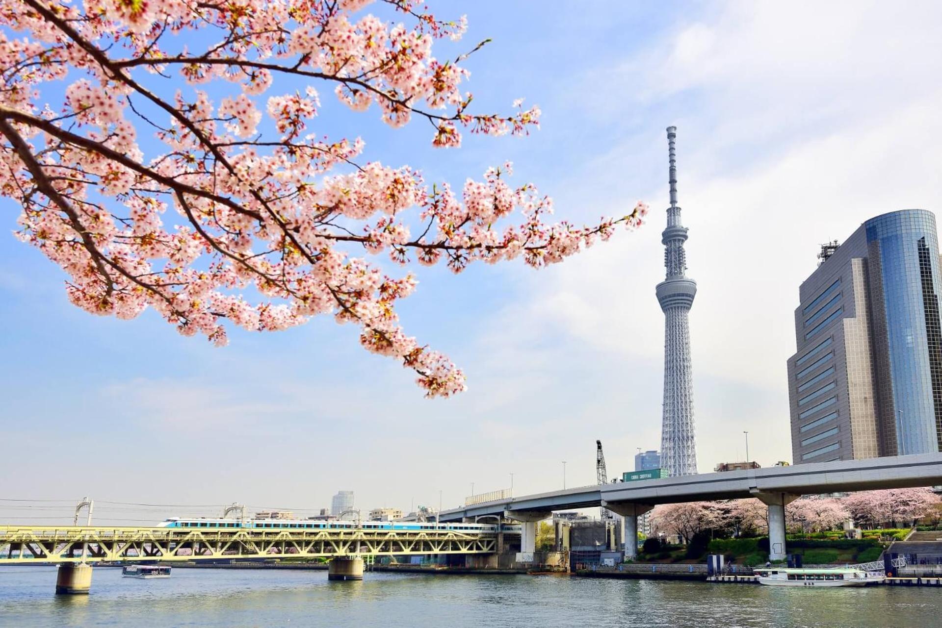 Honeys Guest House Tokyo Exterior photo